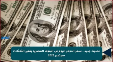 تحديث جديد.. سعر الدولار اليوم في البنوك المصرية يتغير الثلاثاء 2 سبتمبر 2025